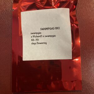 Green Rebel Farms Swampgas BX 10 Regular Seeds