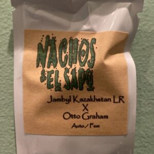 Nachos & El Sapo Jambyl Kazakhatan LR x Otto Graham 10 Feminized Autoflower Seeds