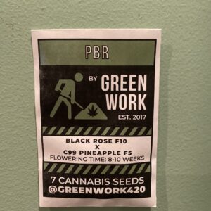 Green Work Collective Pineapple Black Rose F1 7 Regular Seeds