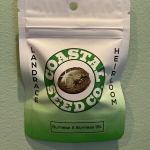 Coastal Seed Co Burmese IBL 10 Regular Seeds