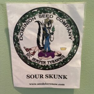 Dominion Seed Company Sour Skunk 10 Regular Seeds