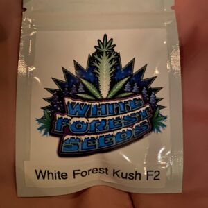 White Forest Seeds White Forest Kush F2 6 Feminized Seeds