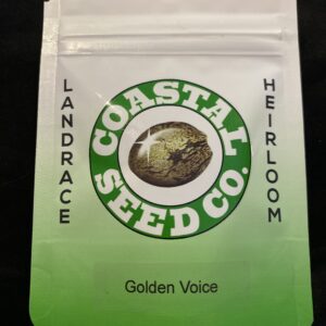 Coastal Seed Co Golden Voice 10 Regular Seeds