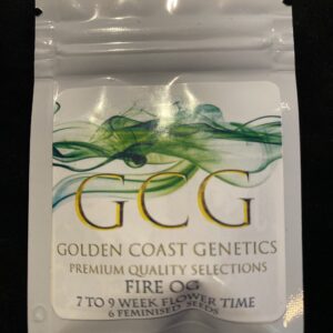 Golden Coast Genetics Fire OG 6 Feminized Seeds