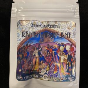 Golden Coast Genetics BOEL Iranian Hashplant 12 Regular Seeds
