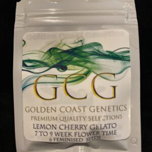 Golden Coast Genetics Lemon Cherry Gelato S1 6 Feminized Photoperiod Seeds