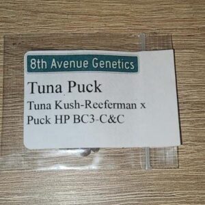 8th Avenue Genetics Tuna Puck F1 12 Regular Seeds