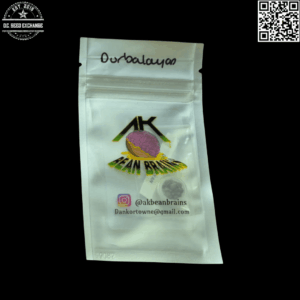 AK Bean Brains Durbalayan F1 (Durban F3 x 1977 Himalayan/Skunk) 12 Regular Seeds