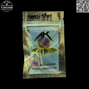 AK Bean Brains Sensi Star F4 12 Regular Seeds