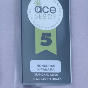 Ace Seeds Honduras Panama 5 Regular Seeds