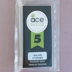 Ace Seeds Malawi x Panama 5 Feminized Seeds