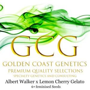 Albert Walker x Lemon Cherry Gelato S1 6 Feminized Seeds