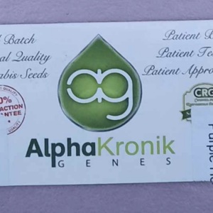Alphakronik Purple Heart 10 Regular Seeds