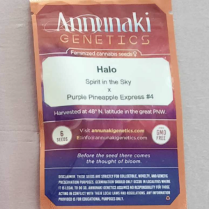 Annunaki Genetics Halo F1 6 Feminized Seeds