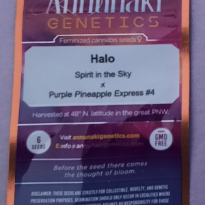 Annunaki Genetics Halo F1 6 Feminized Seeds