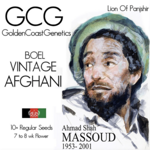 BOEL Vintage Afghani 10 Regular Seeds