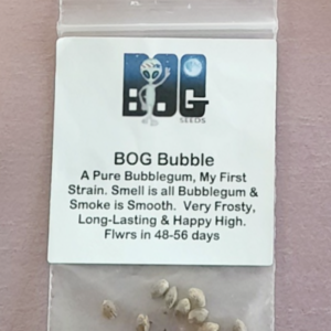 BOG Seeds BOG Bubble 10 Regular Seeds