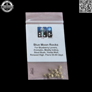 BOG Seeds Blue Moon Rocks (Blue Moon x BOG Bubble) 13 Regular Seeds