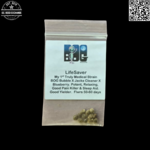 BOG Seeds LifeSaver (BOG Bubble x Jacks Cleaner x Blueberry) 12 Regular Seeds