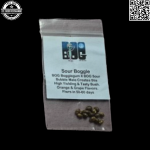 BOG Seeds Sour Boggle (BOG Bogglegum X BOG Sour Bubble) 13 Regular Seeds