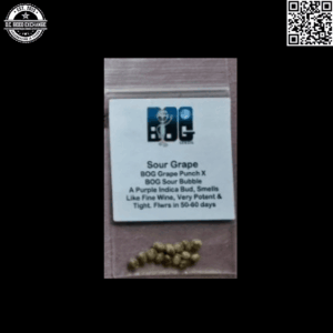 BOG Seeds Sour Grape (BOG Grape Punch x BOG Sour Bubble) 13 Regular Seeds