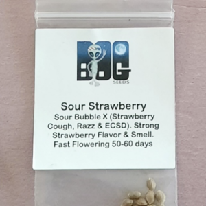 BOG Seeds Sour Strawberry 10 Regular Seeds