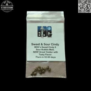 BOG Seeds Sweet & Sour Cindy (Sweet Cindy x Sour Bubble) 12 Regular Seeds