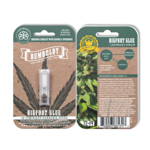 Bigfoot Glue Bx4 (Humboldt Headband x GG#4) 10 Feminized Seeds