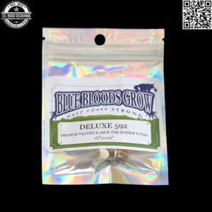 Blue Bloods Grow Deluxe 592 (Orange Velvet x Jack the Ripper x P592) 10 Regular Seed