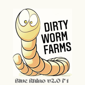 Blue Rhino F1 v.2 20 Regular Seeds