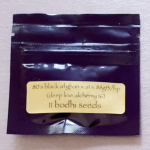 Bodhi Seeds 80s Black Afghan x A1 x 88g13/hp F1 11 Regular Seeds