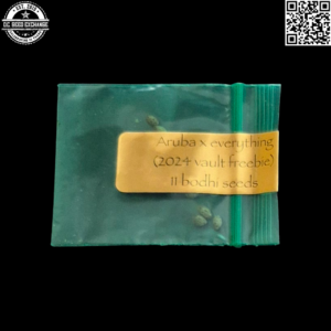 Bodhi Seeds Aruba x Everything 11 Regular Seeds