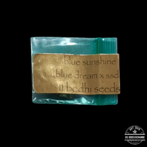 Bodhi Seeds Blue Sunshine (Blue Dream x Sunshine Daydream) 11 Regular Seeds