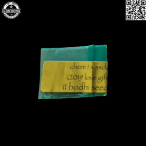 Bodhi Seeds Chem 1 x Sunshine Daydream 11 Regular Seeds