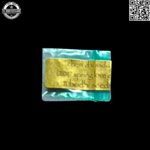 Bodhi Seeds Chem D x Sunshine Daydream 11 Regular Seeds