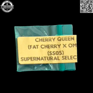 Bodhi Seeds' Supernatural Selections #SS05 Cherry Queen (Fat Cherry Afghani x Old Mother Ghani) 11 Regular Seeds