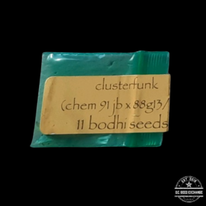 Bodhi Seeds Clusterfunk F1 (Chem 91 x 88g13/hp) 11 Regular Seeds