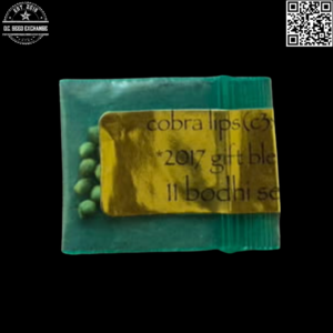 Bodhi Seeds Cobra Lips (Chemdawg 3 x Appalachia) 11 Regular Seeds