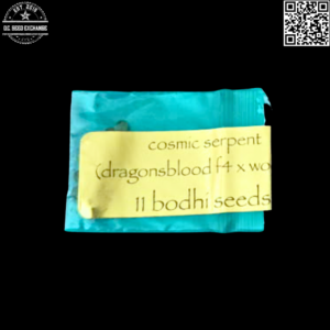 Bodhi Seeds Cosmic Serpent F1 (Dragonsblood F4 x Wookie) 11 Regular Seeds
