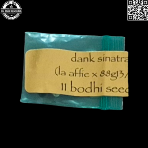 Bodhi Seeds Dank Sinatra (LA Affie x 88G13/HP) 11 Regular Seeds