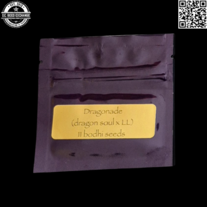 Bodhi Seeds Dragonade (Dragon Soul x Lavender Lemonaid) 11 Regular Seeds