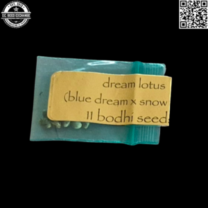 Bodhi Seeds Dream Lotus (Blue Dream x Snow Lotus) F1 11 Regular Seeds