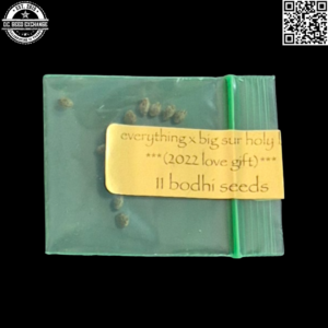 Bodhi Seeds Everything x Big Sur Holy Bud 11 Regular Seeds