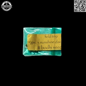 Bodhi Seeds Field Trip (Girl Scout Cookies x Sunshine Daydream) 11 Regular Seeds