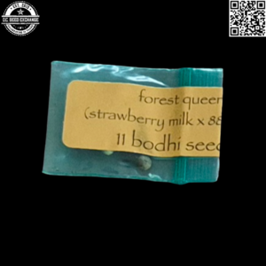 Bodhi Seeds Forest Queen (Strawberry Milk x 88g13/hp) 11 Regular Seeds