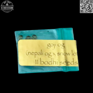 Bodhi Seeds Gogi OG (Nepali OG × Snow Lotus) 11 Regular Seeds