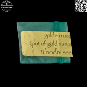 Bodhi Seeds Golden Road (Pot of Gold x Snow Lotus) 11 Regular Seeds