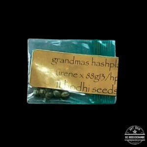 Bodhi Seeds Grandmas Hashplant (Irene x 88g13/hp) 11 Regular Seeds