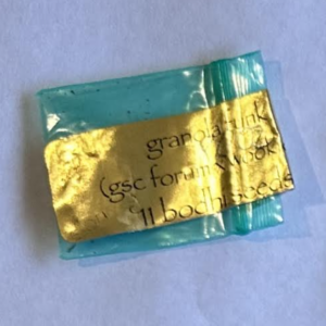 Bodhi Seeds Granola Funk 11 Regular Seeds