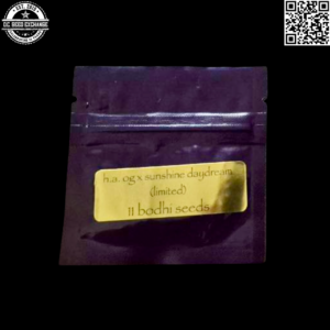 Bodhi Seeds Hells Angels OG x Sunshine Daydream 11 Limited Regular Seeds